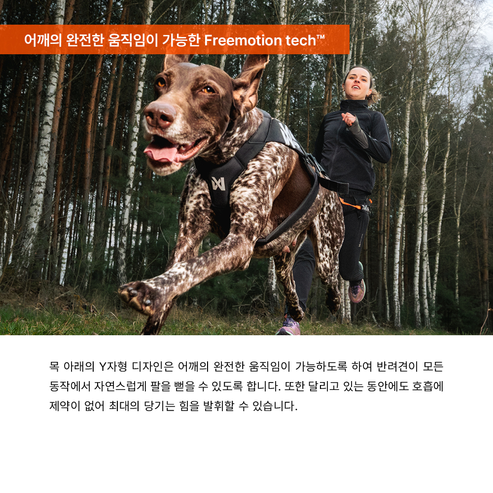 [예약주문] 프리모션 하네스 PRO