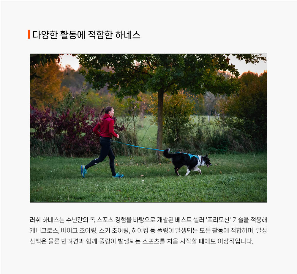러쉬 하네스