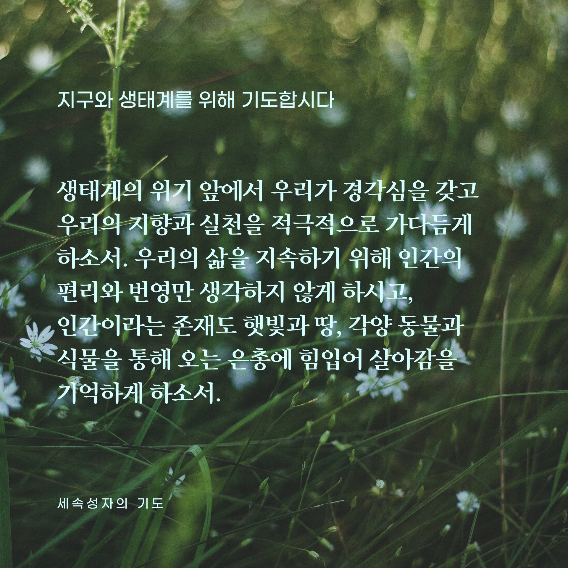145fd6594762f.png