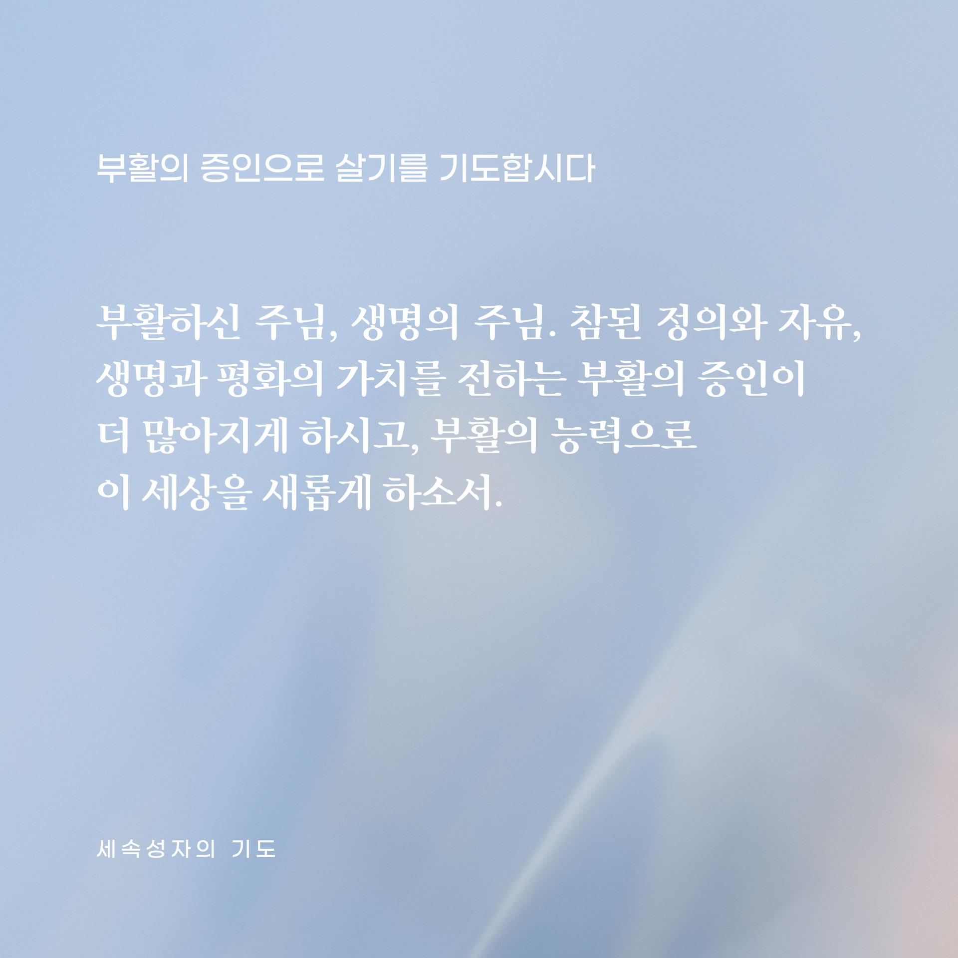4d233f648f9a9.png
