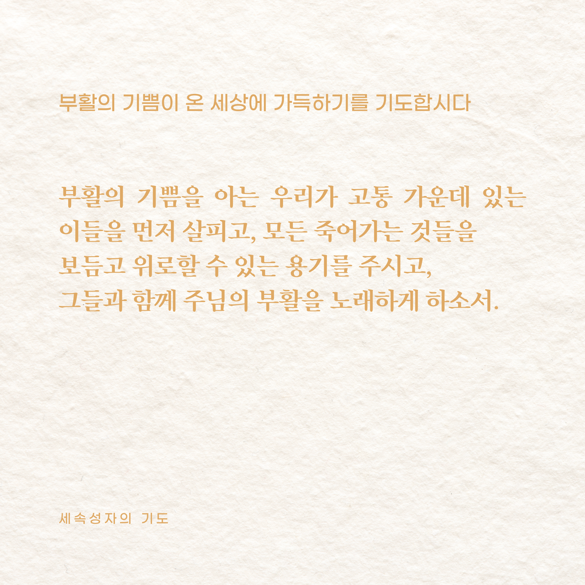 5289451eea794.png