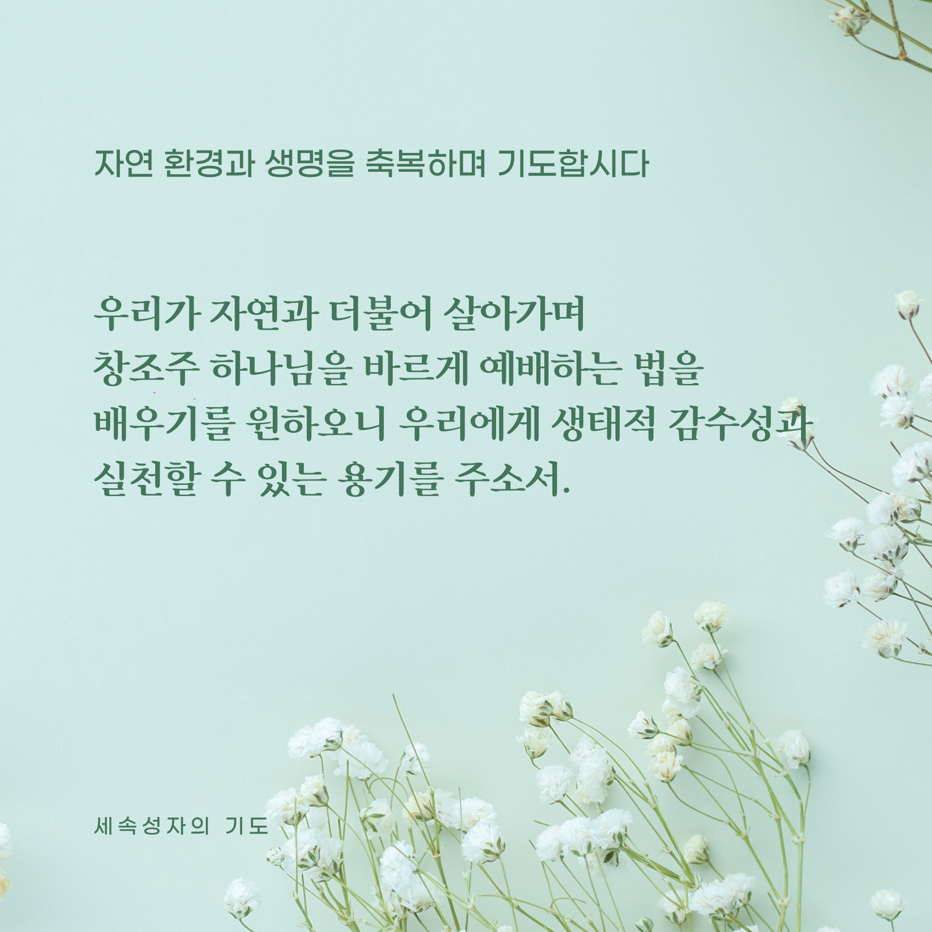 5feea7887068a.png