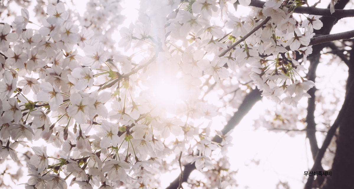 7d7a938c2454d.png