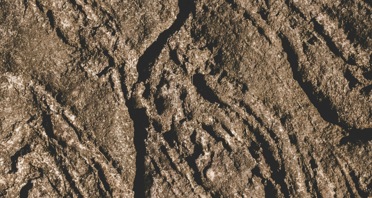 d16026c413bf2.png