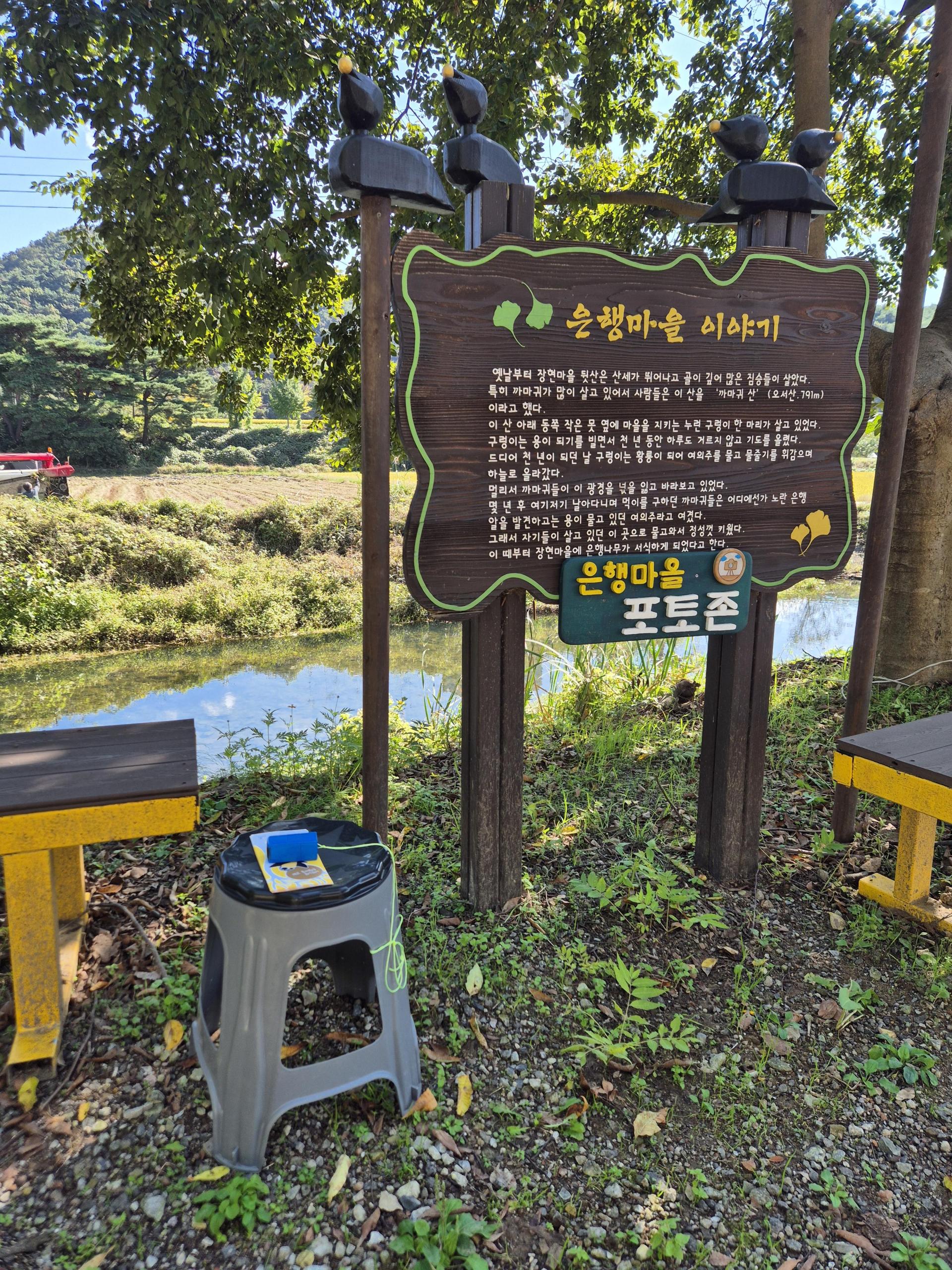 2499afa287726.jpg