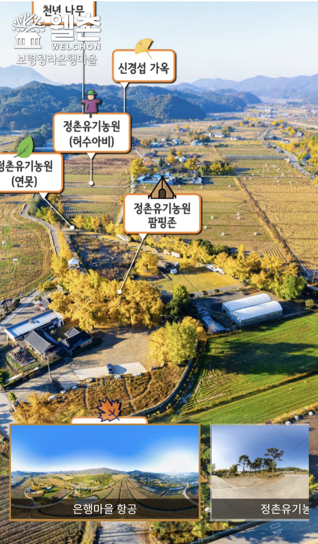 256927ff9d653.jpg