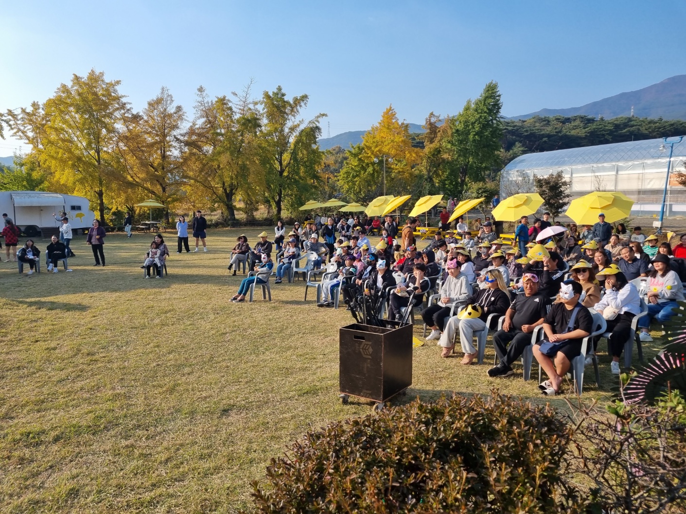 2d03208ff6ac8.jpg