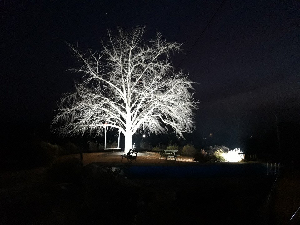 b574896ec66ca.jpg
