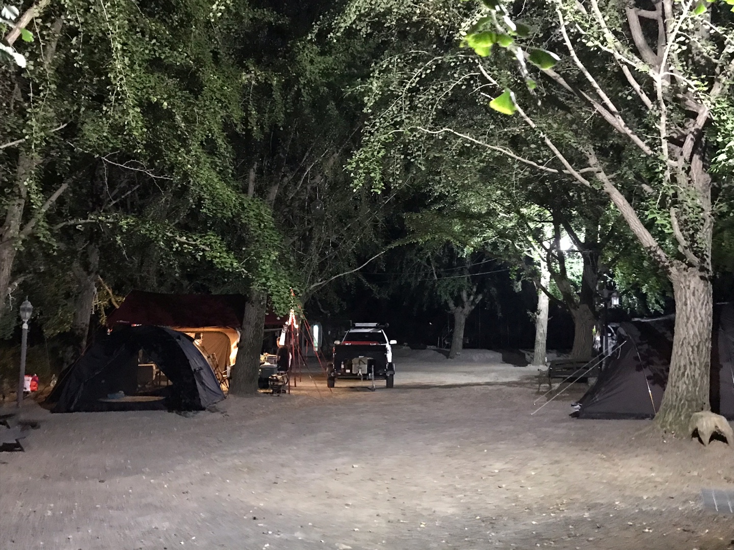 bcf420af1d29c.jpg