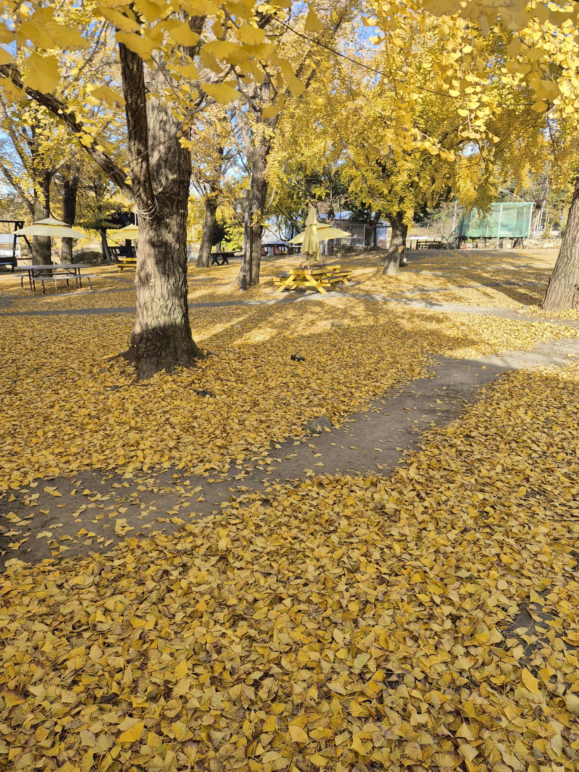 e10a0b2909b01.jpg