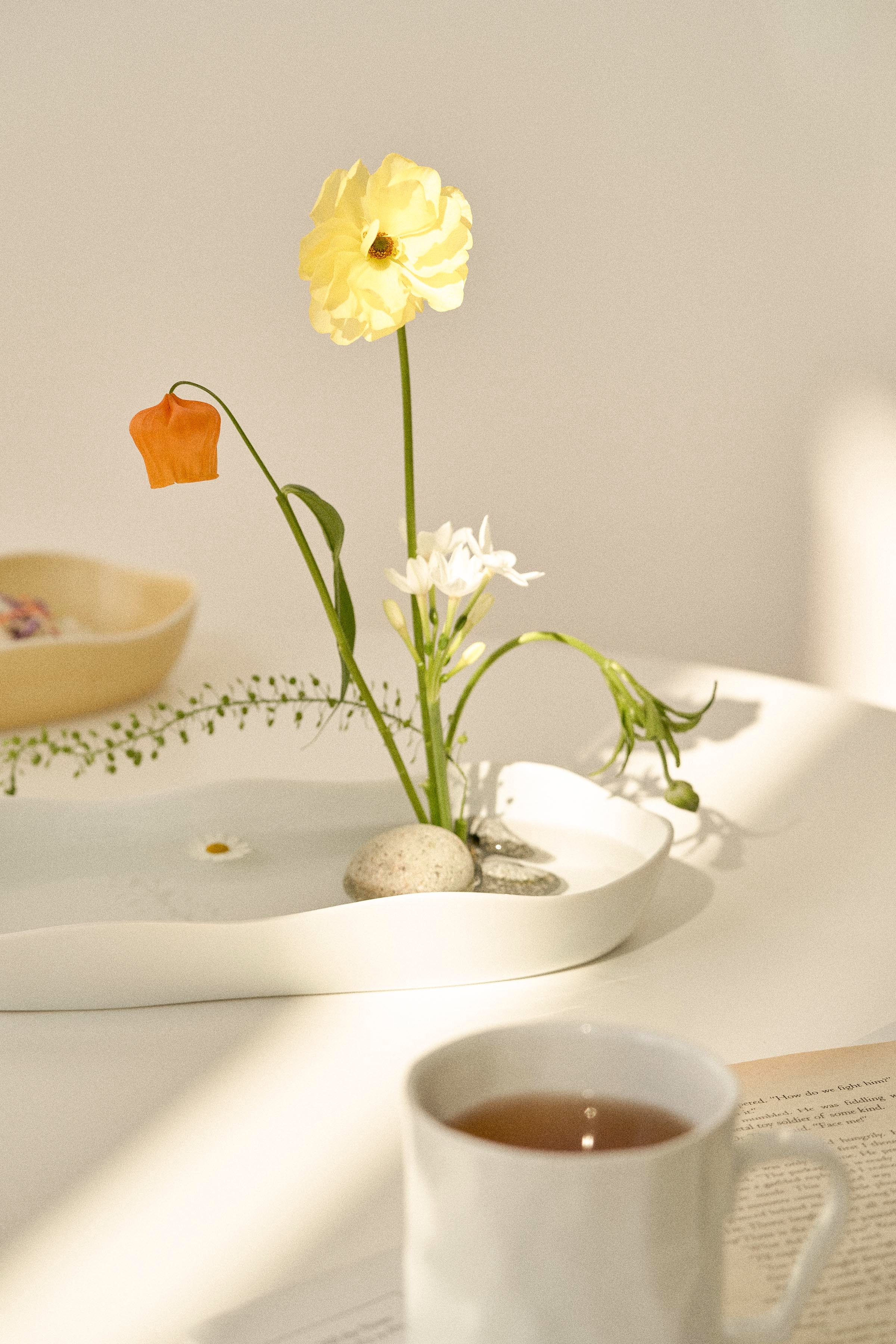 Bloom Vase/ Bowl - Wide