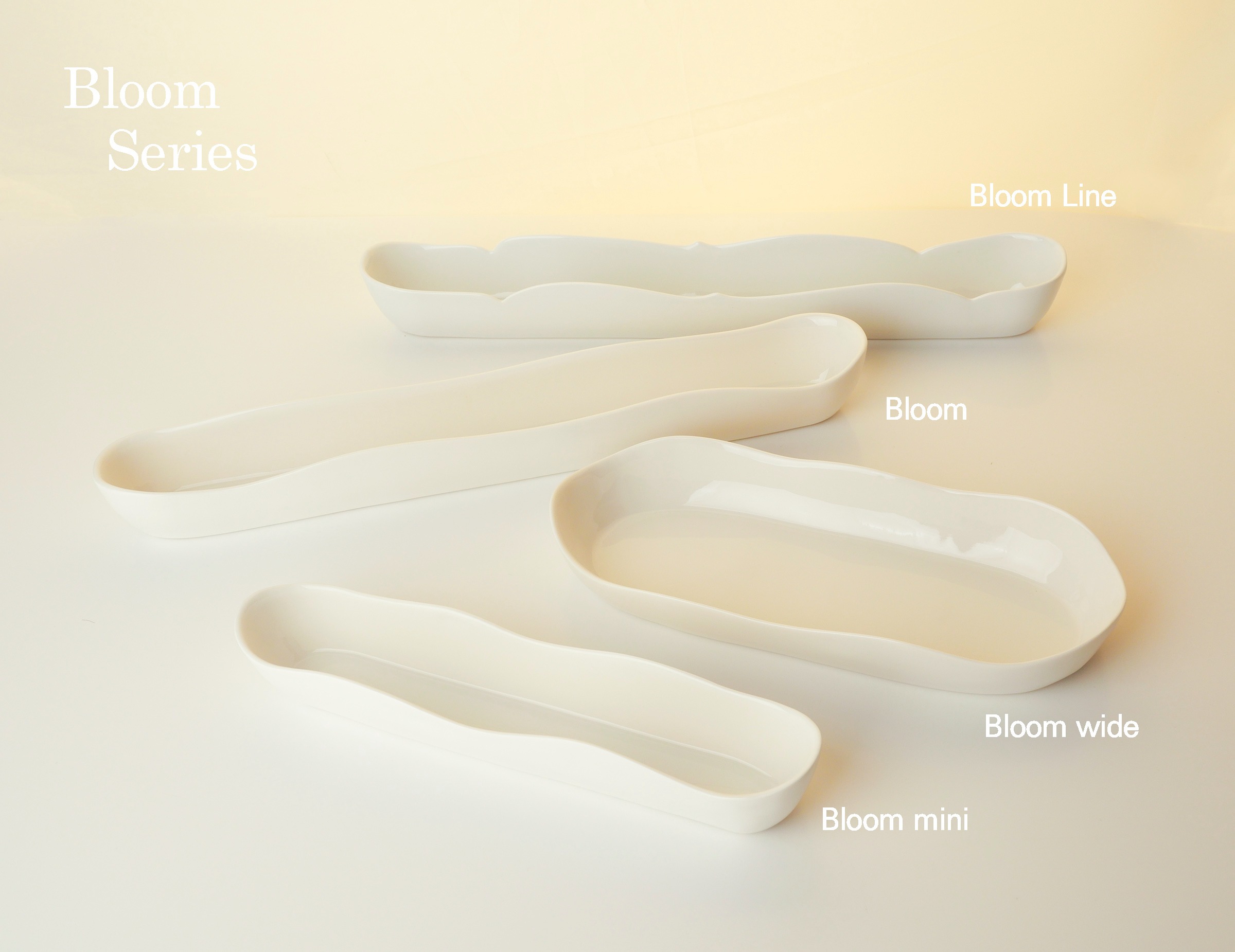 Bloom Vase/ Bowl