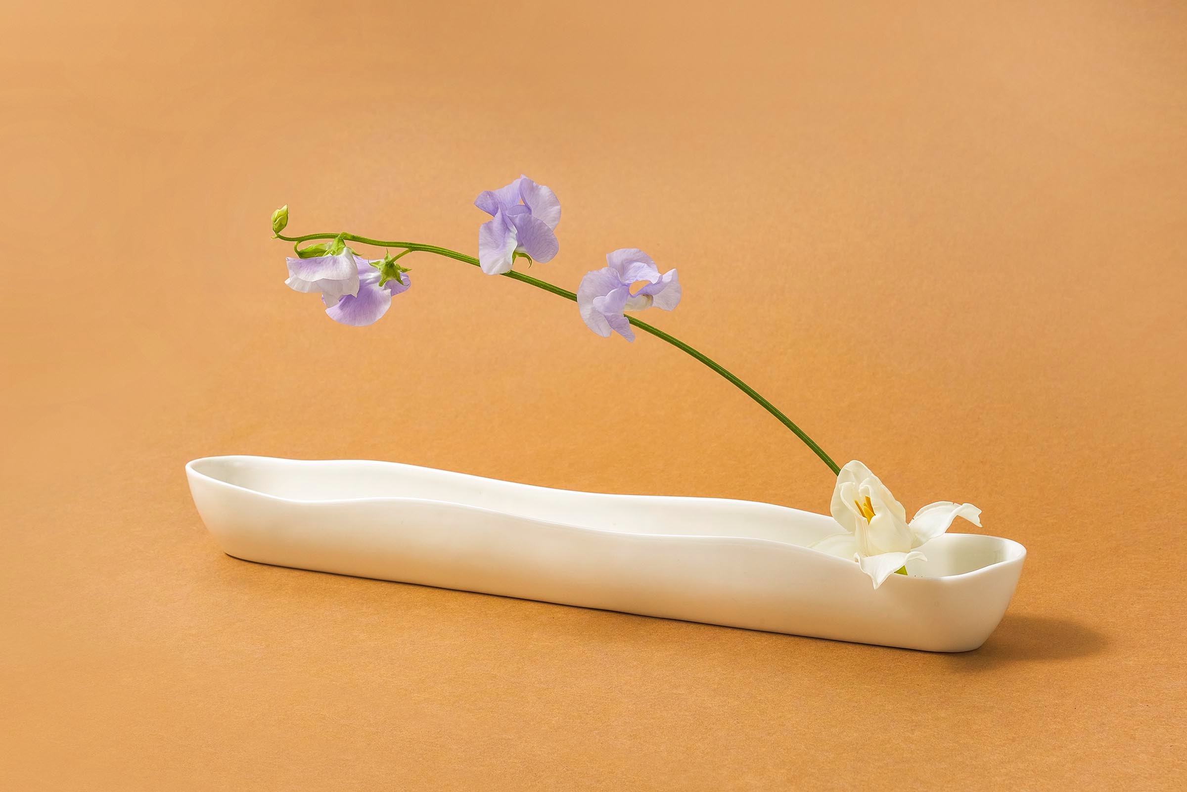 Bloom Vase/ Bowl