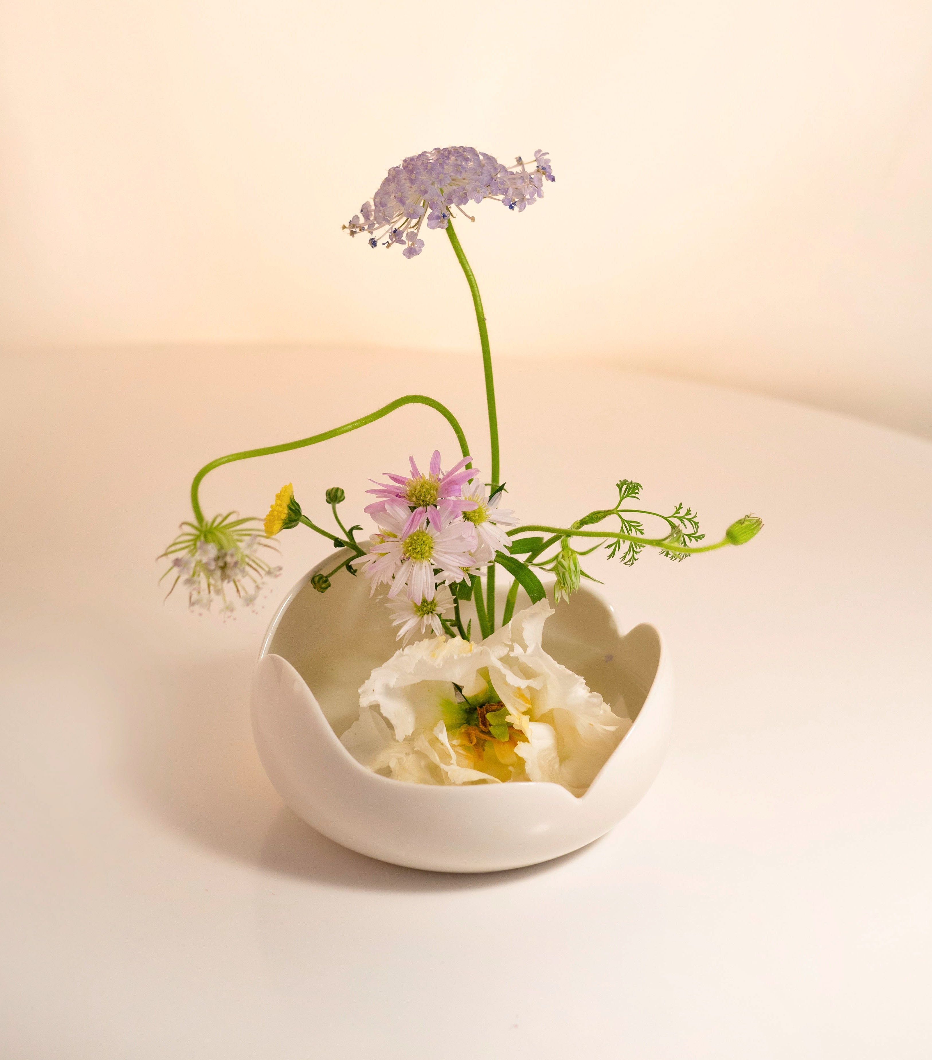 Bloom Vase/ Bowl R (S)