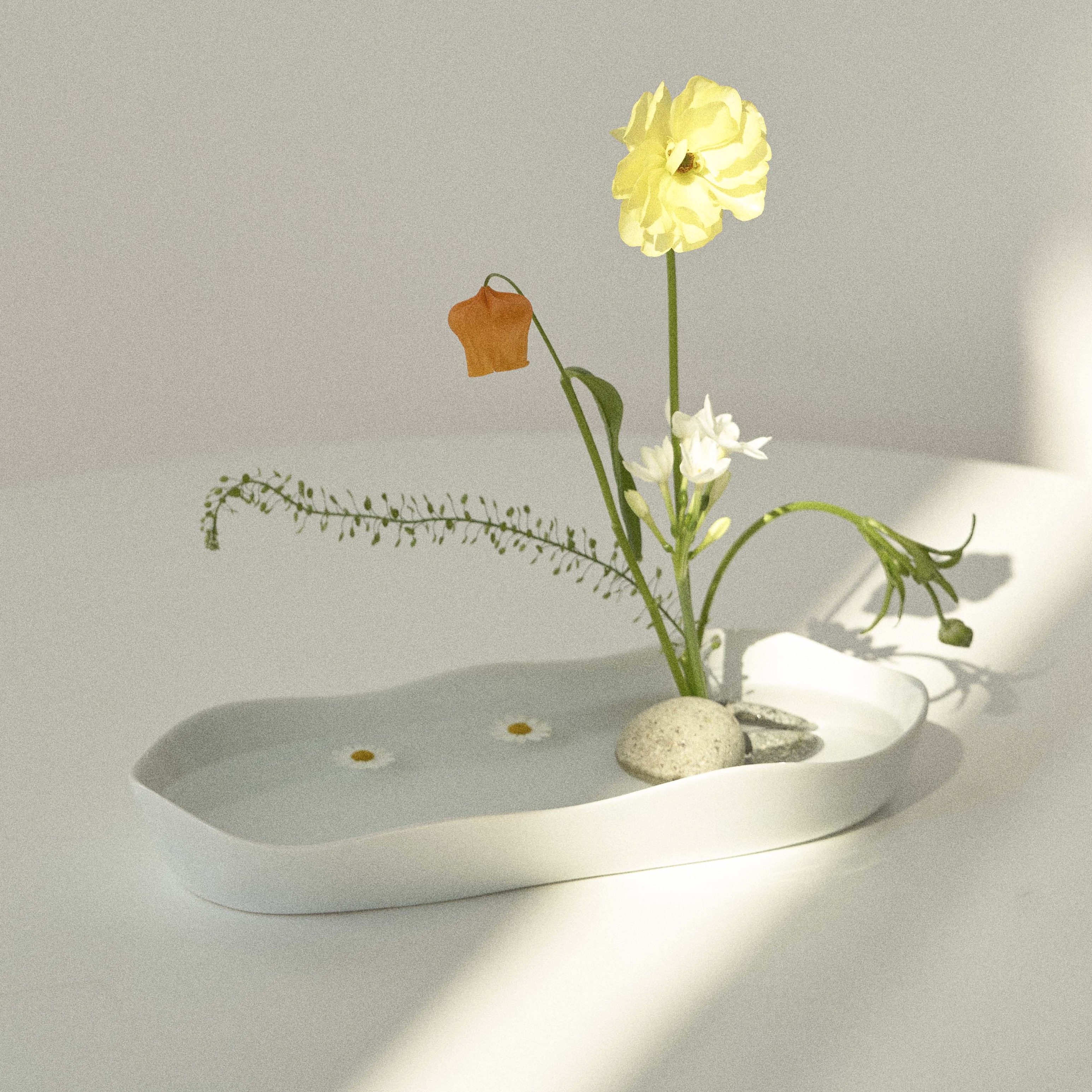 Bloom Vase/ Bowl - Wide