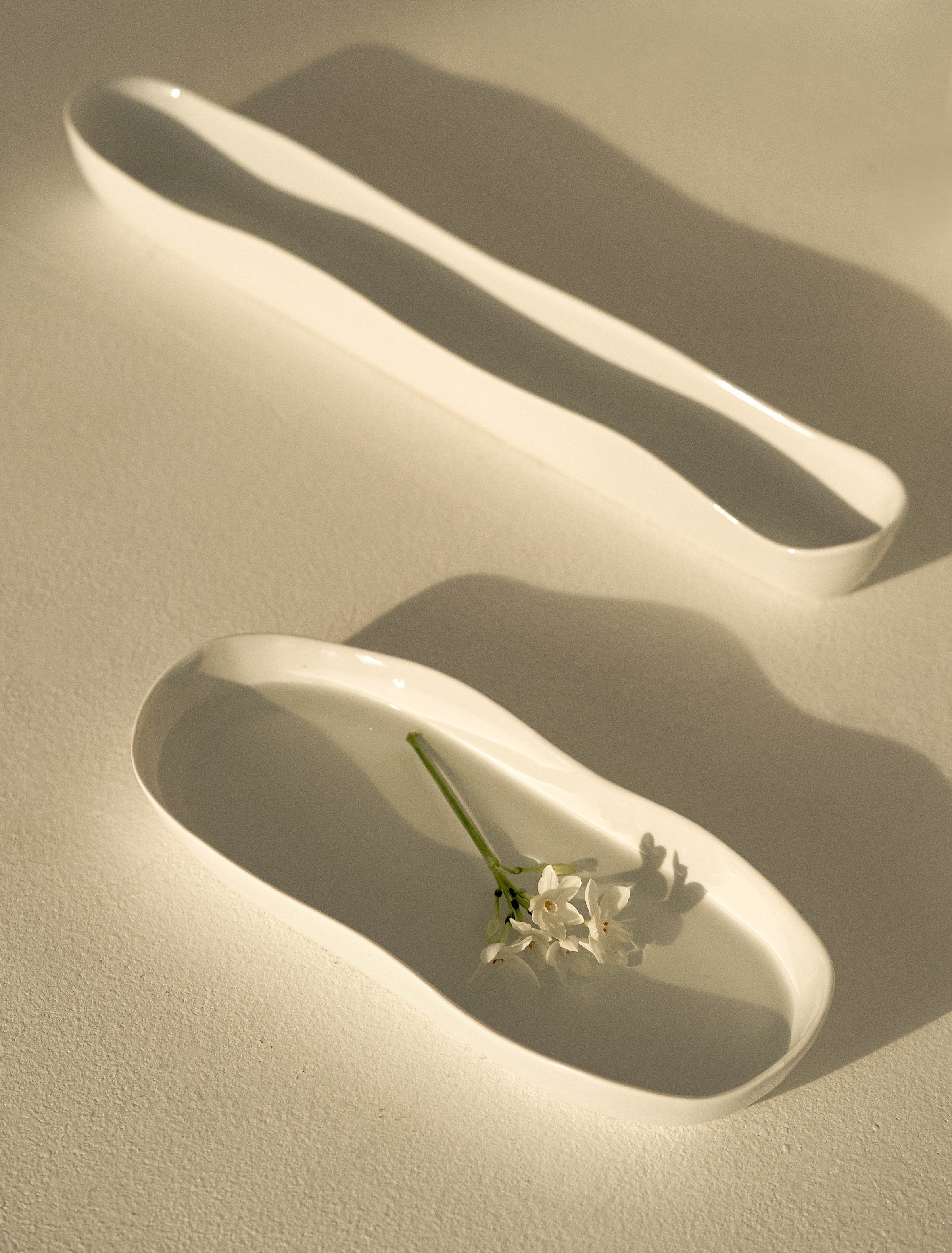 Bloom Vase/ Bowl - Wide