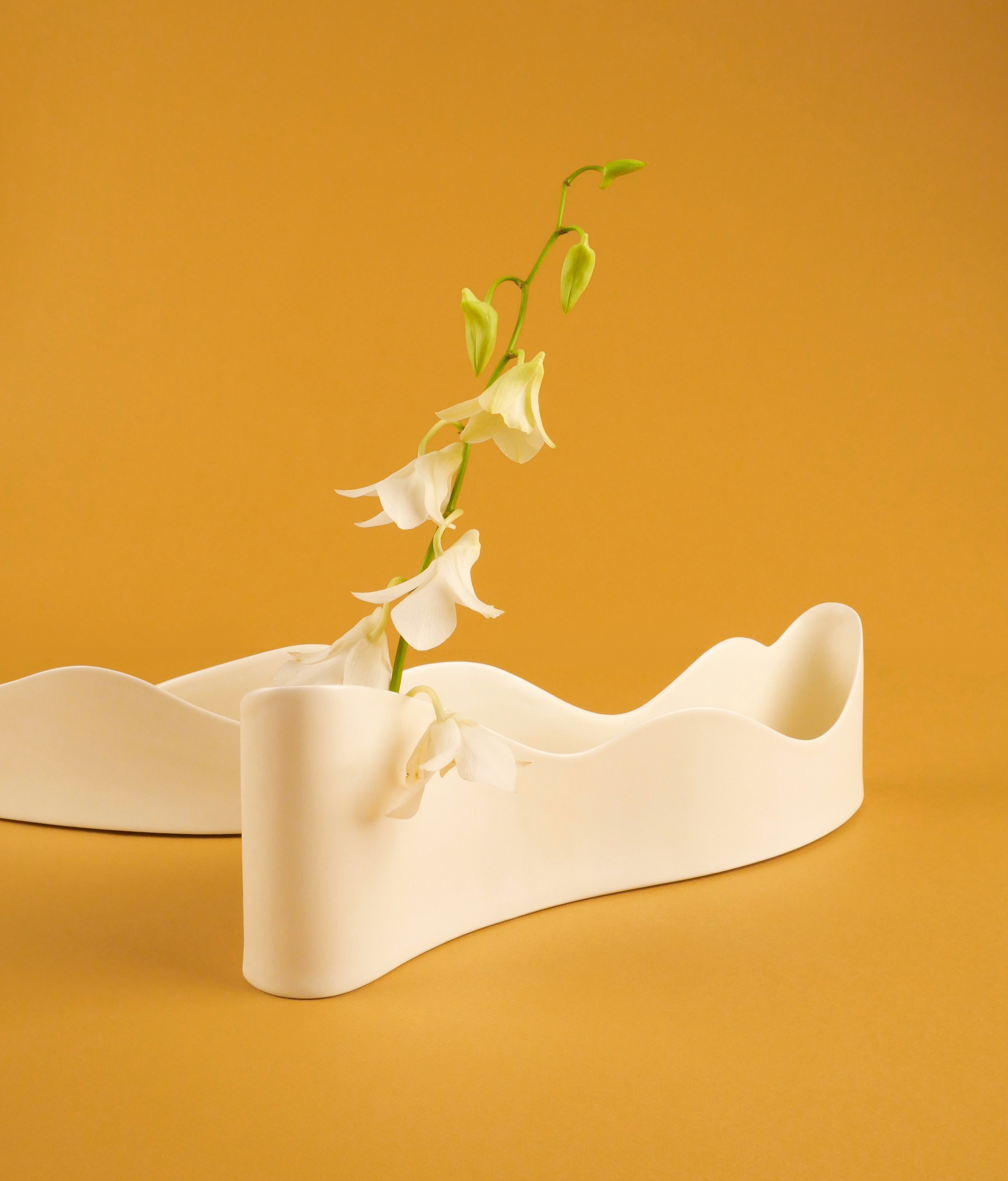 Flow H Vase