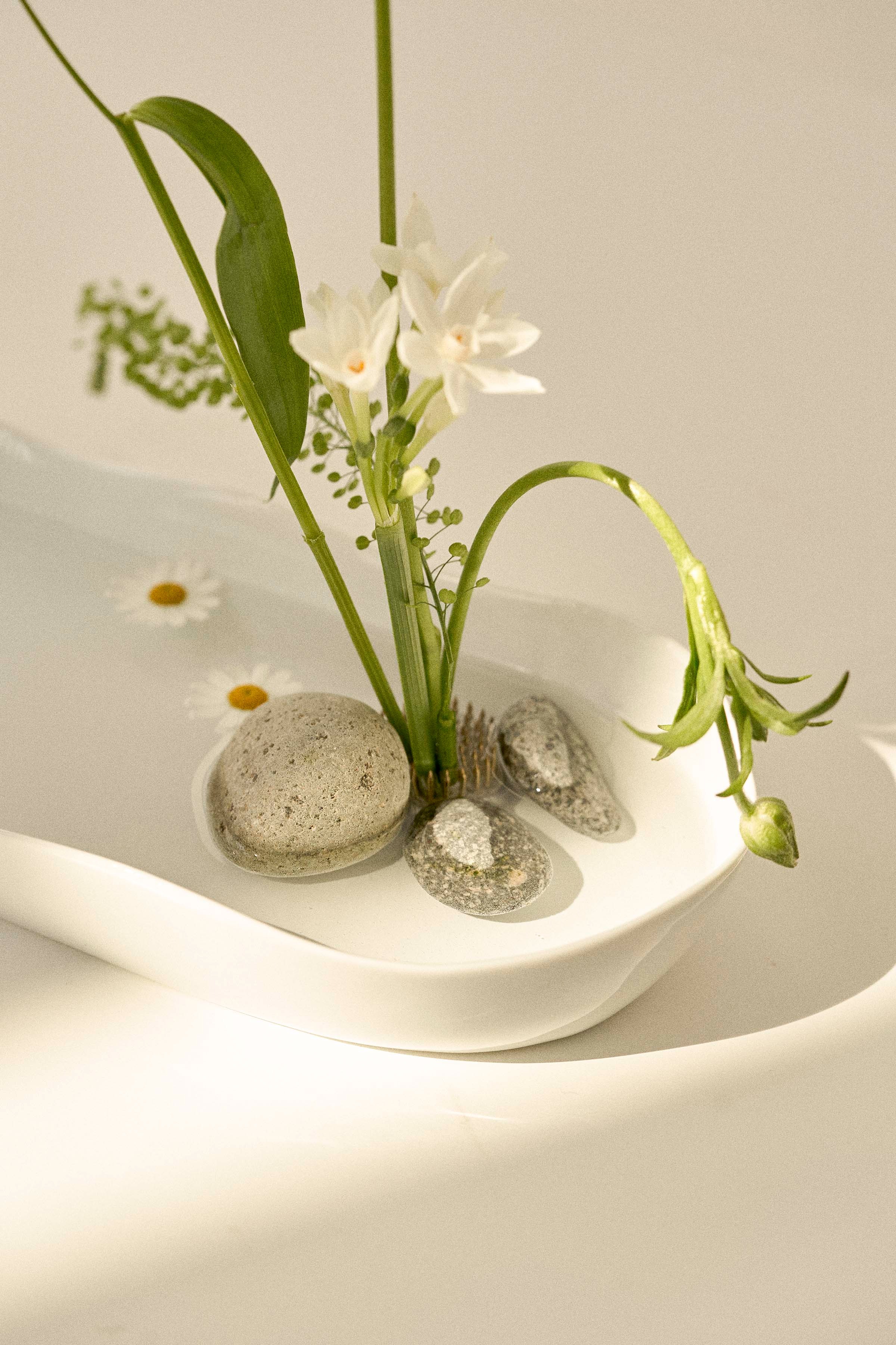 Bloom Vase/ Bowl - Wide