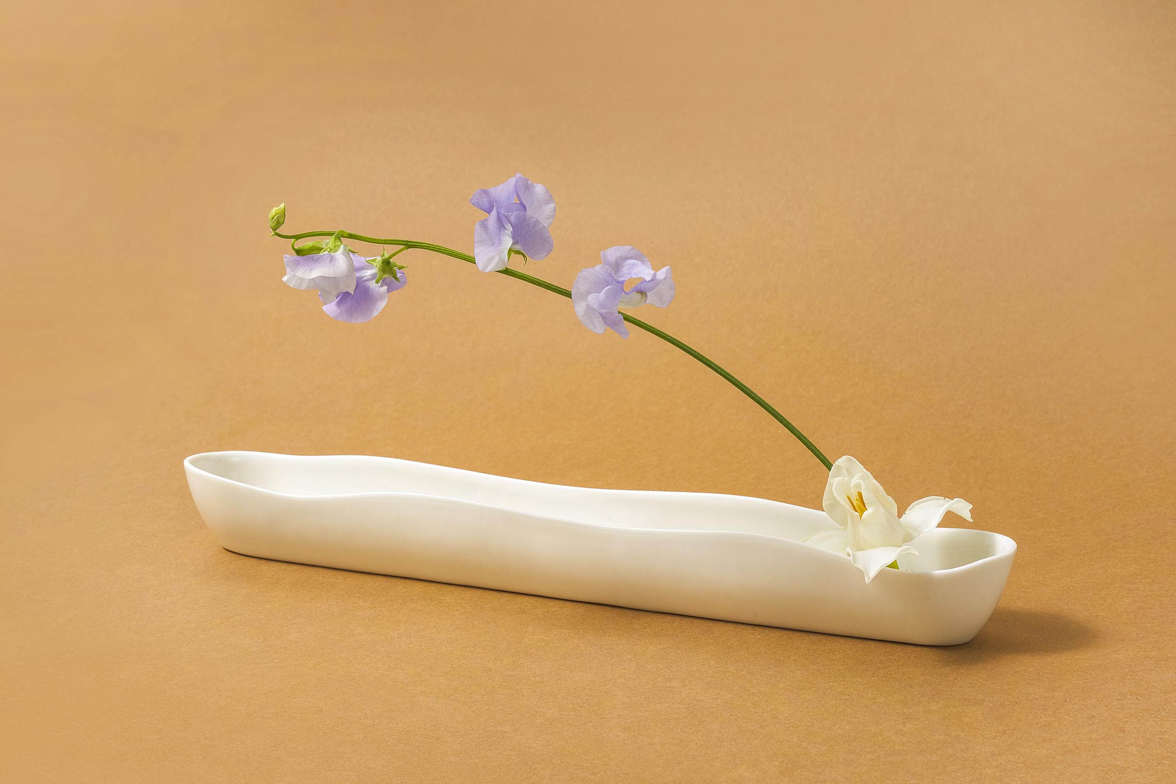 Bloom Vase/ Bowl