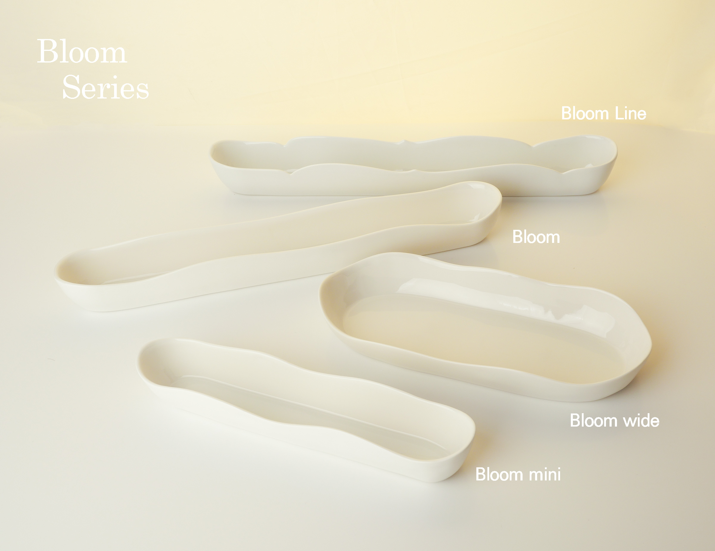 Bloom Vase/ Bowl