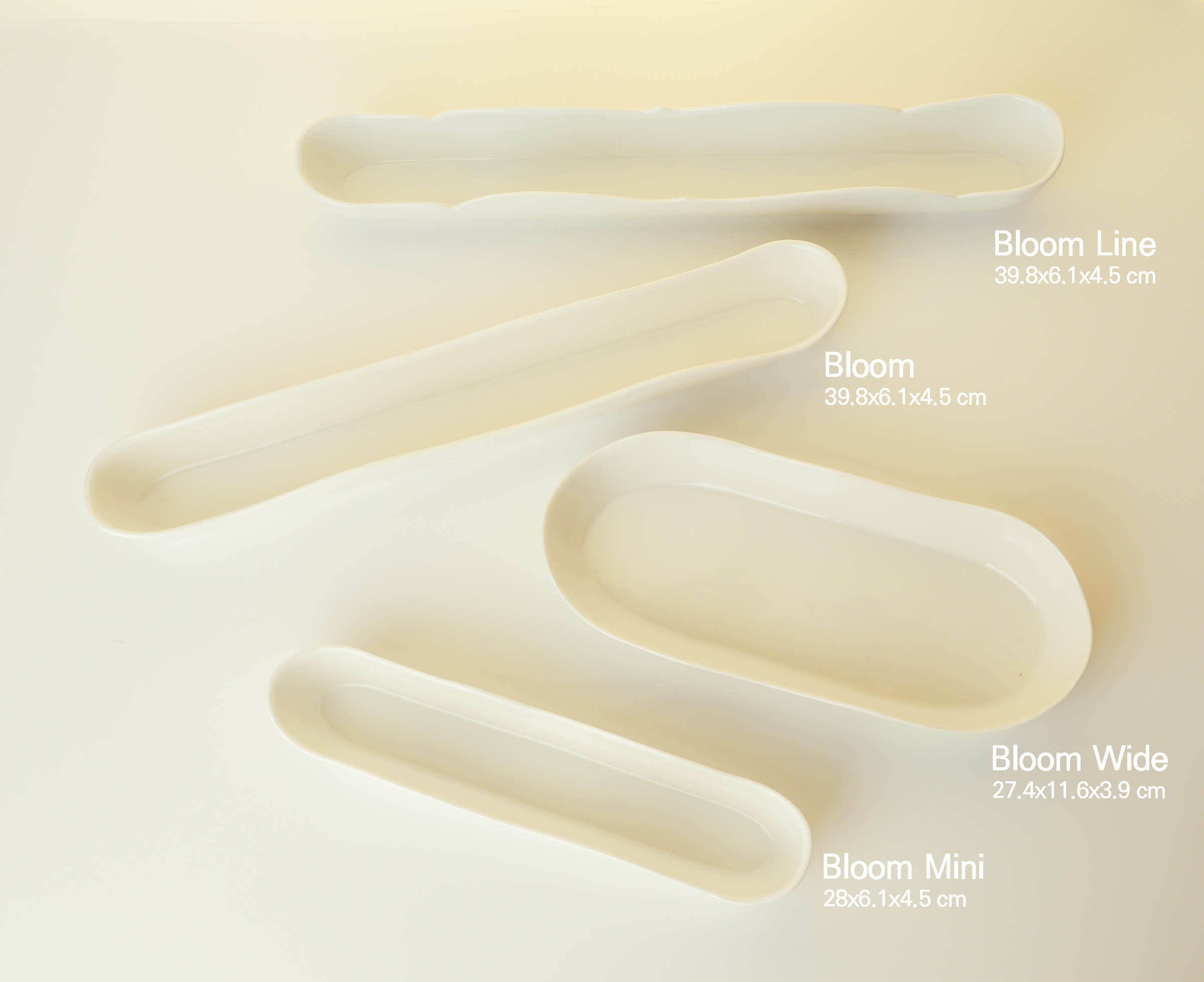Bloom Vase/ Bowl