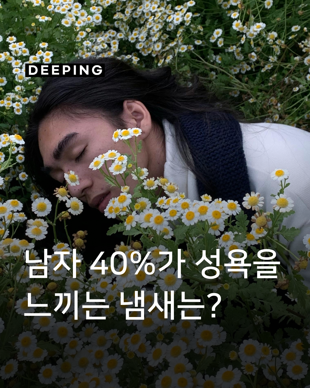 069280ef7b3b7.png