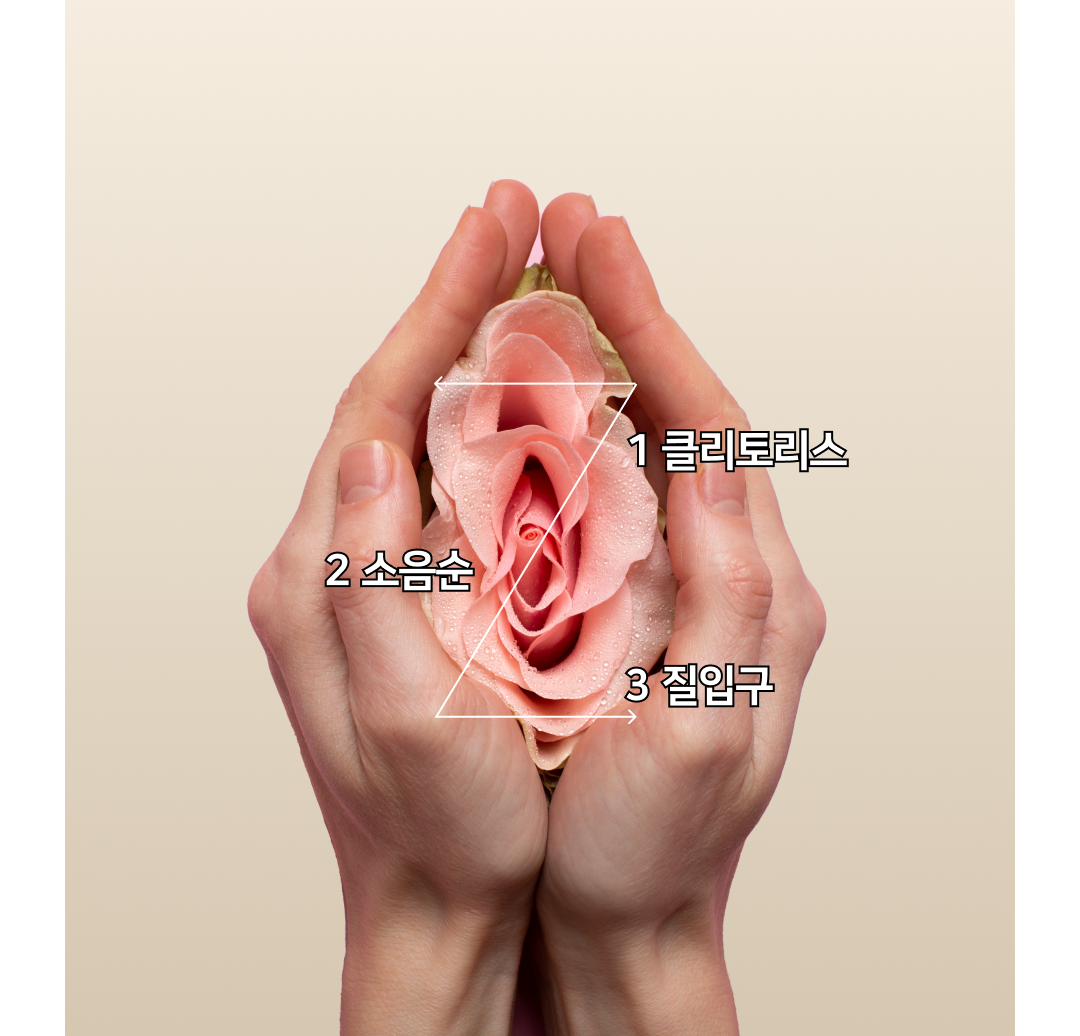 2b87f6e80ee9c.png