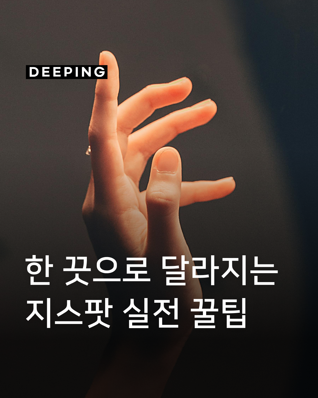3d14106e73e5c.png