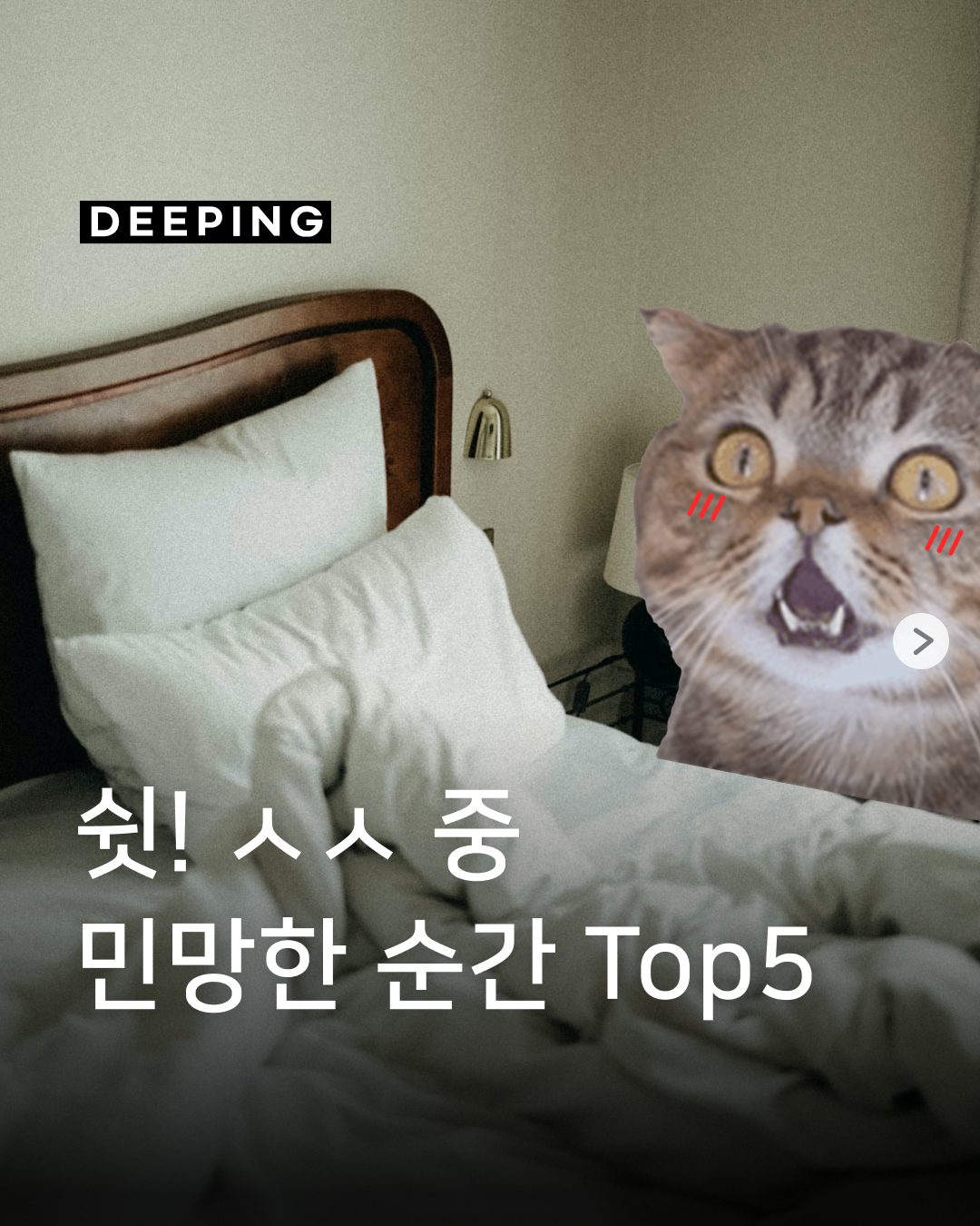 7dbb8e02f4dba.png