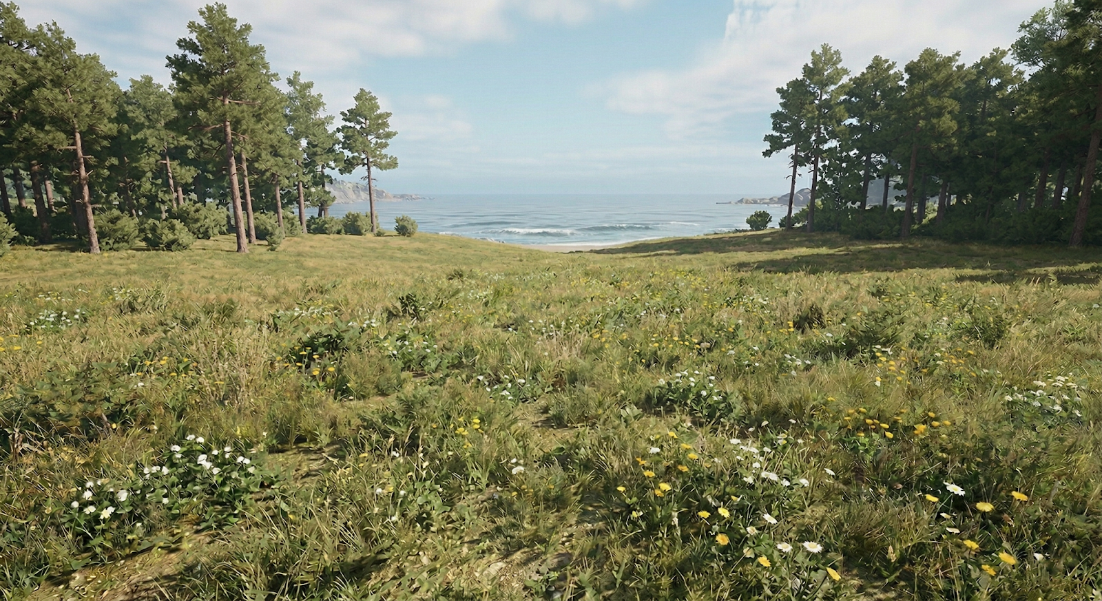 8b5693707d92d.png