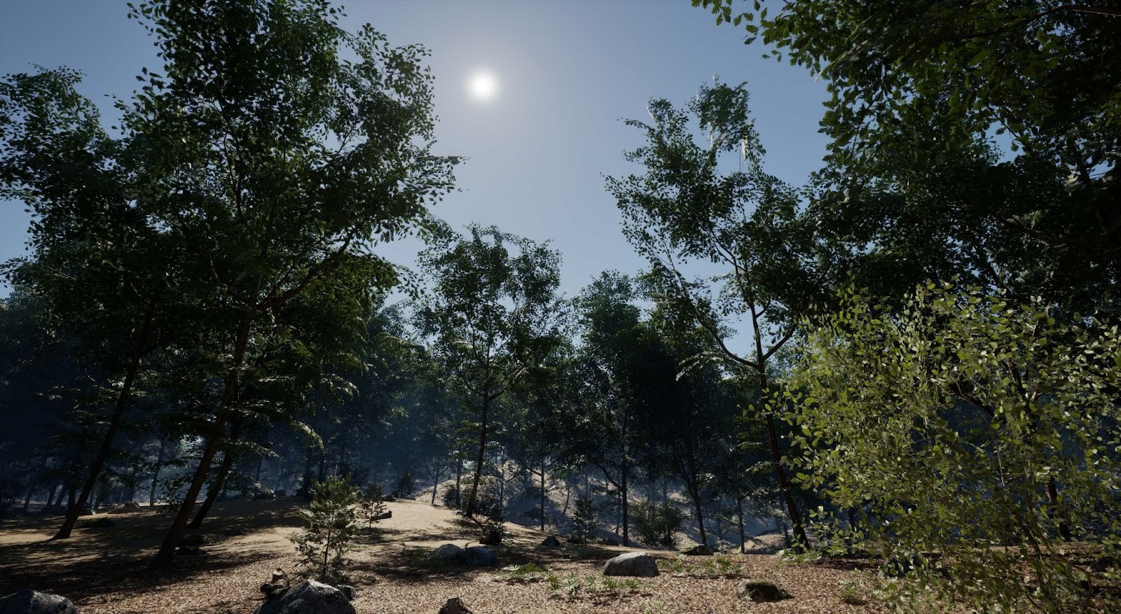 f30bd3ccf0b5a.jpeg