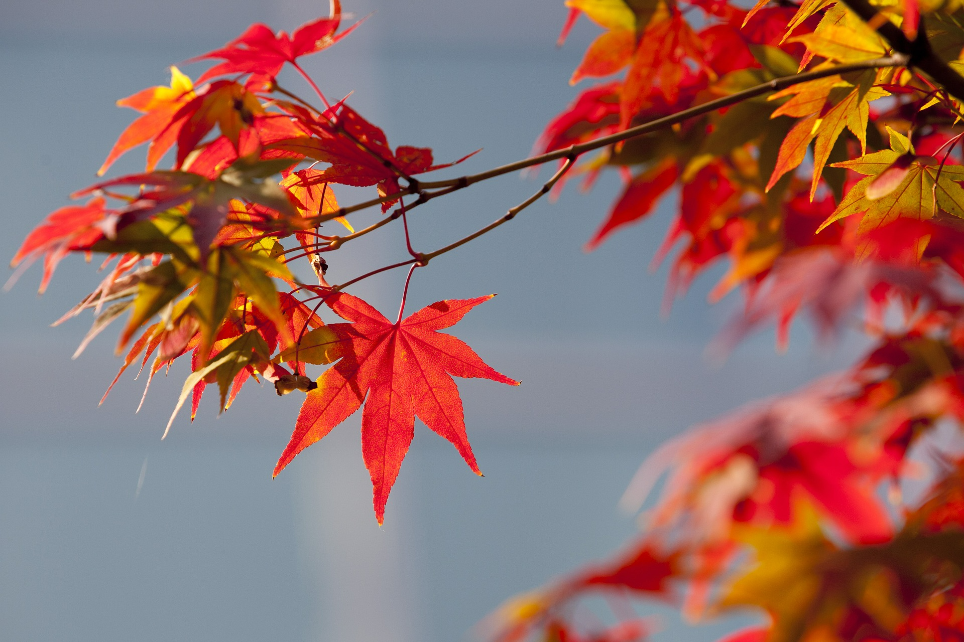 a238321c08c35.png