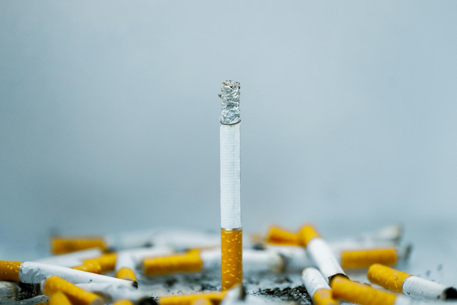 Cigarette on white surface — 금연 메시지