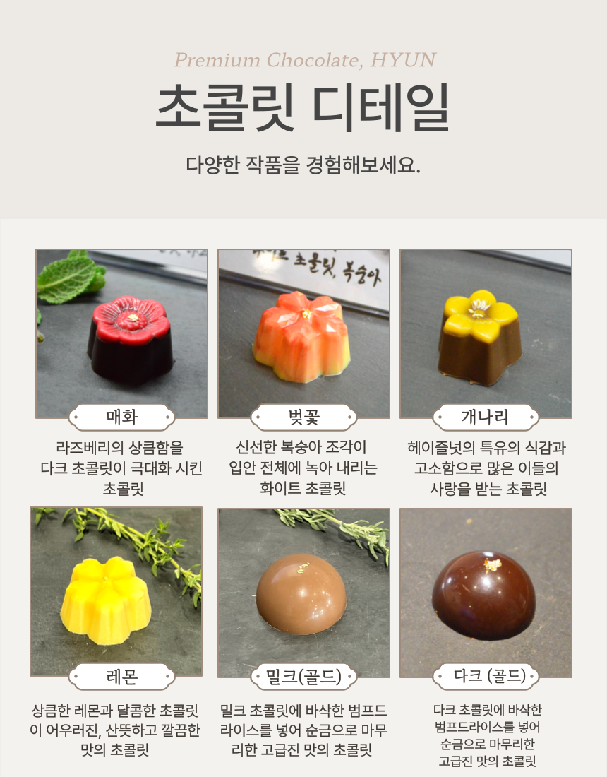 현 시그니쳐 초콜릿 [3구, 12구]