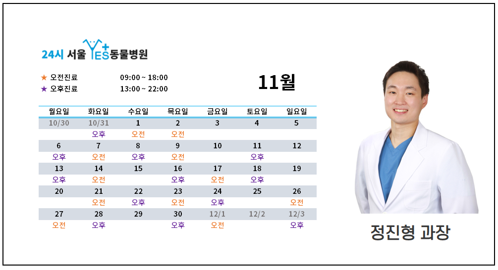 1845101098a41.png