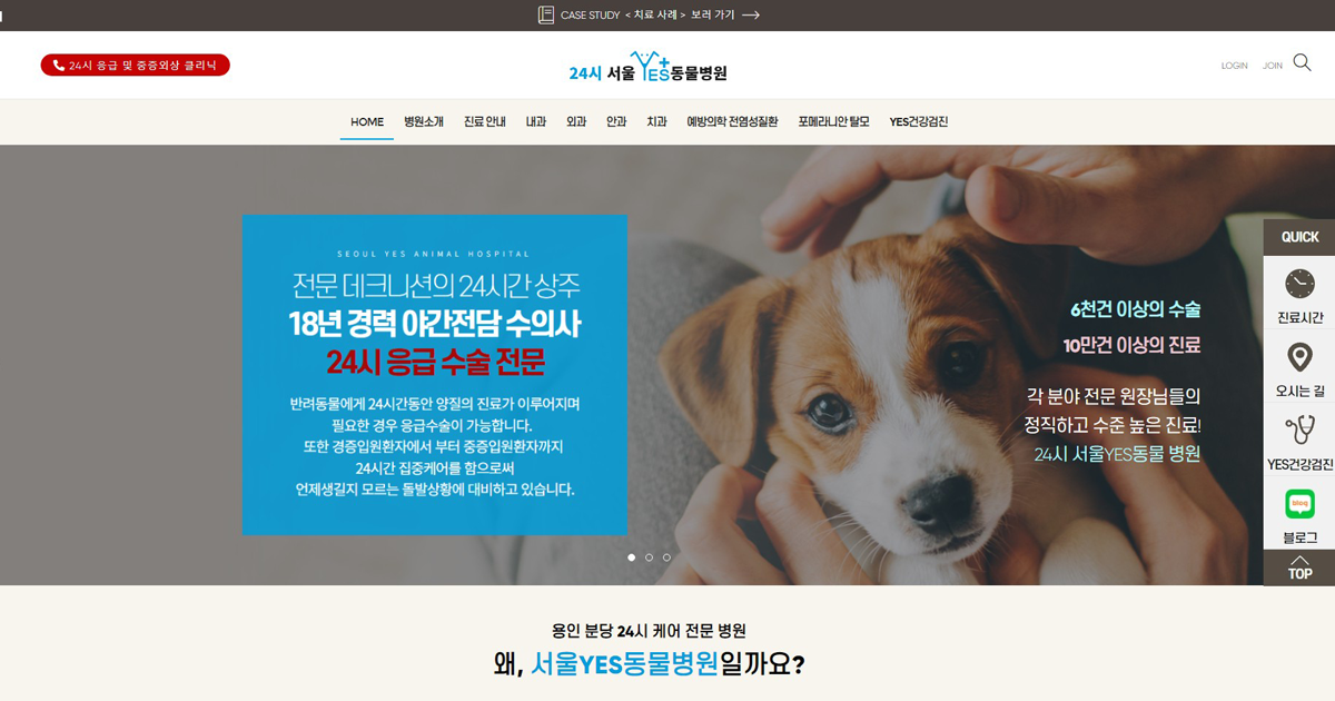 24시 서울 예스 YES 동물병원 24시 서울 예스 Yes 동물병원