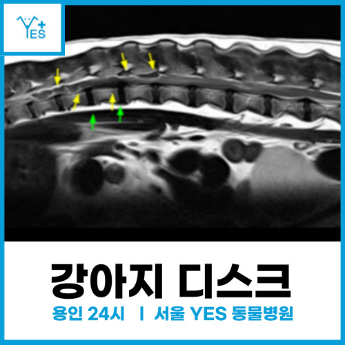 7de542080dd04.jpg