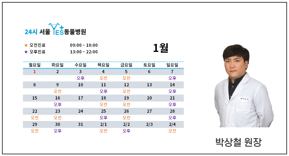 d0d9385ed228d.png