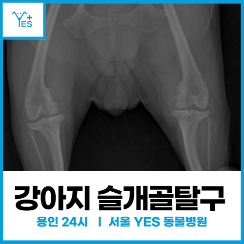 d42aa7148aeec.png