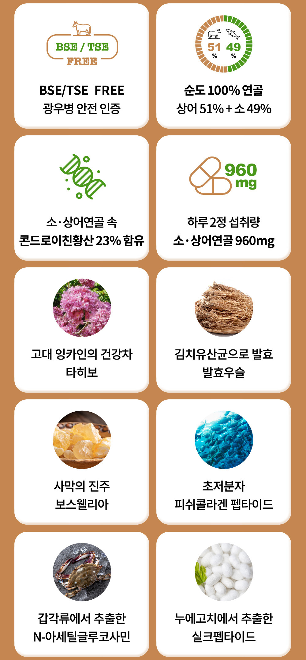 1번-콘드로이친-5.jpg