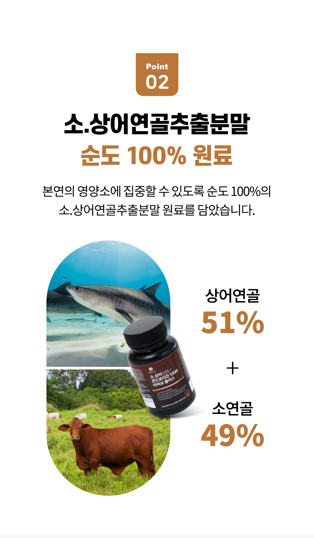 3번-콘드로이친-1.jpg