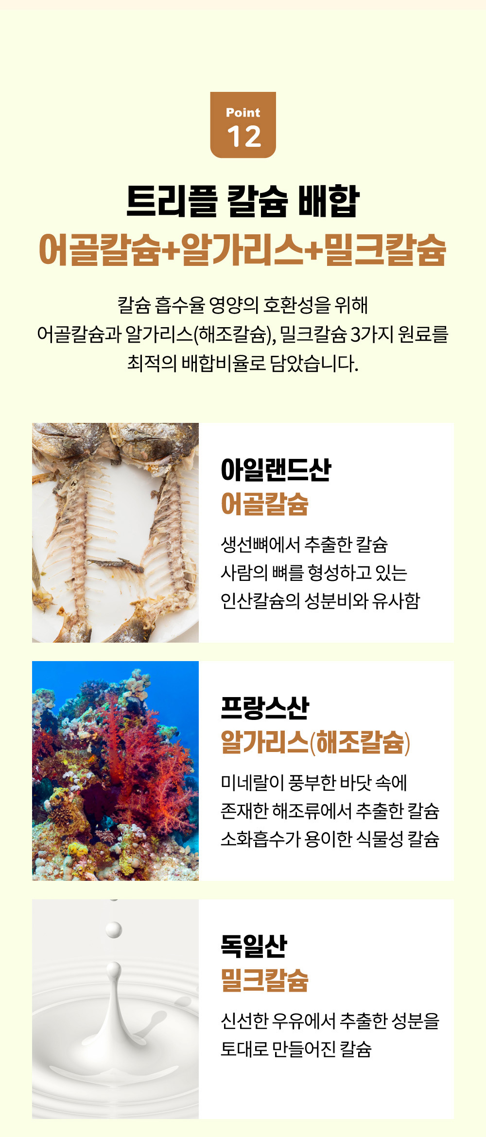 5번-콘드로이친-8.jpg