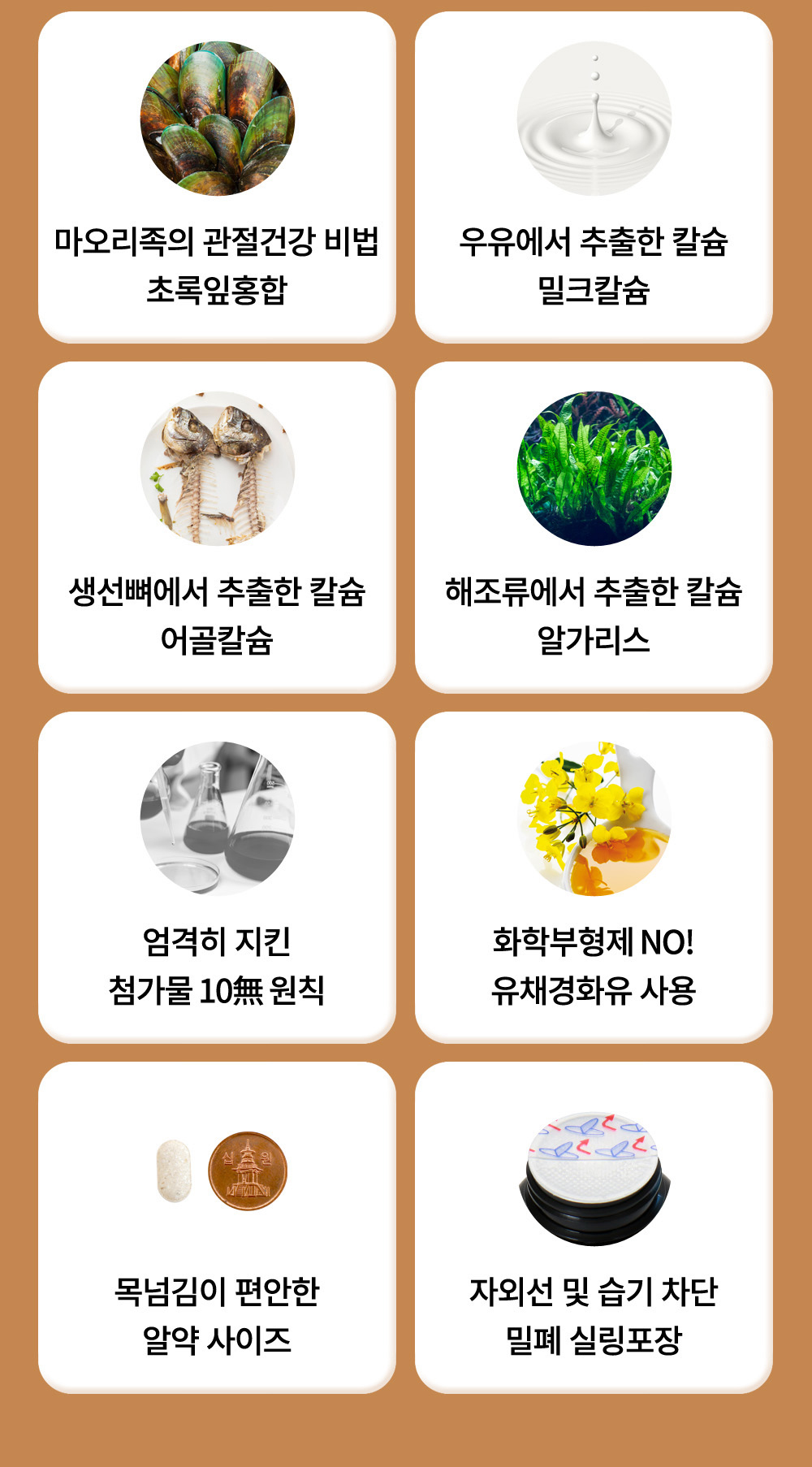 1번-콘드로이친-6.jpg