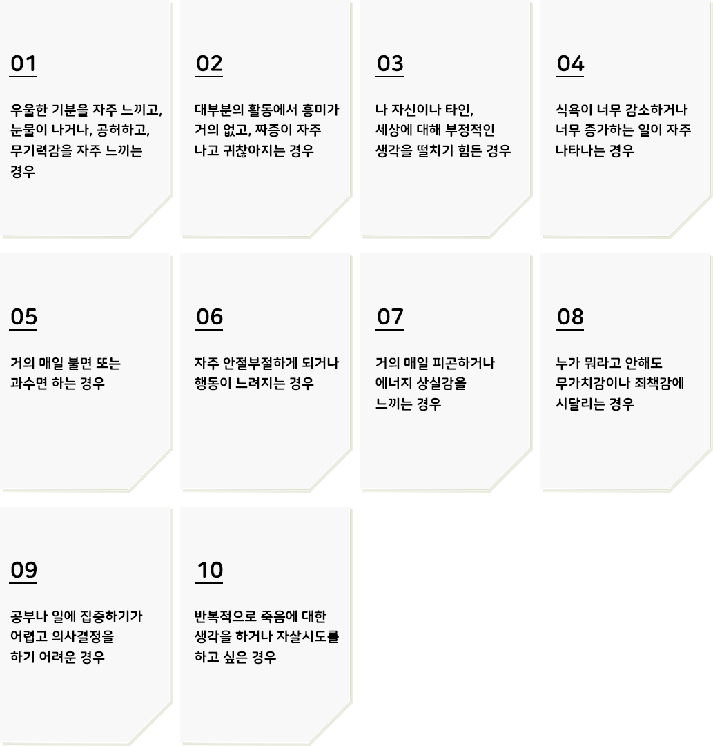 b53048c708813.png