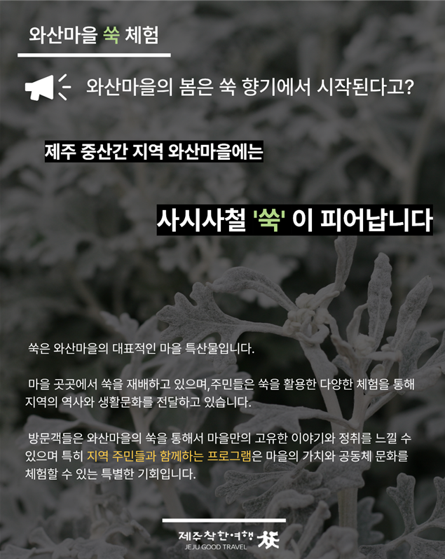 c970653ff01d9.png