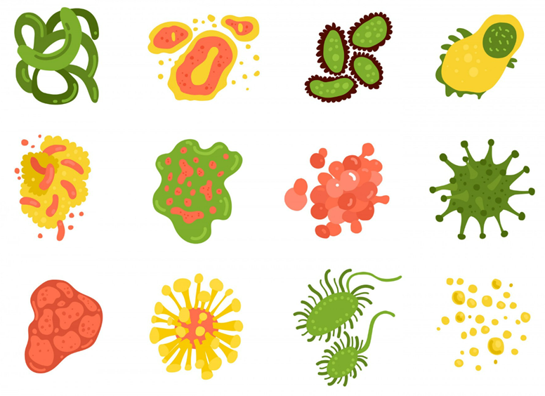 피톤치드 농도별 효능 효과 그림 3