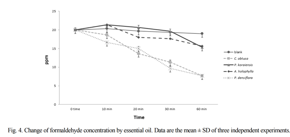피톤치드 탈취 - 2