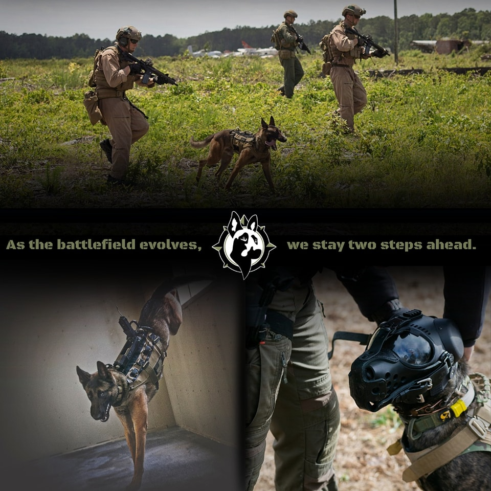[RECON K-9] OTB AMPIBIOUS K9 CARRIER : All Necessry Tactics