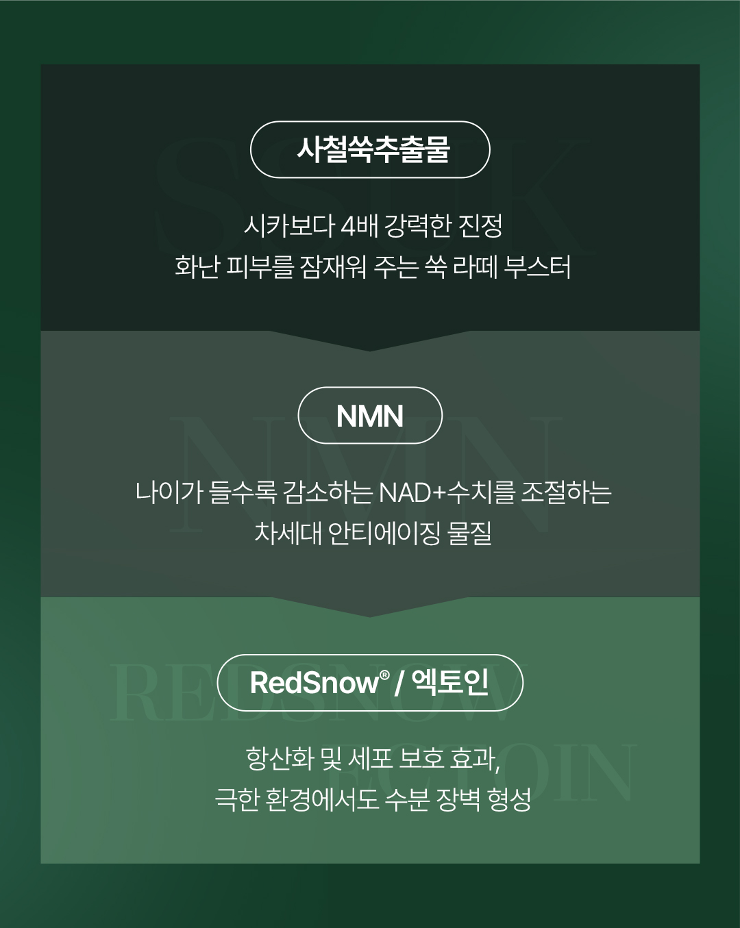[비밸런스] 쑥 부스터