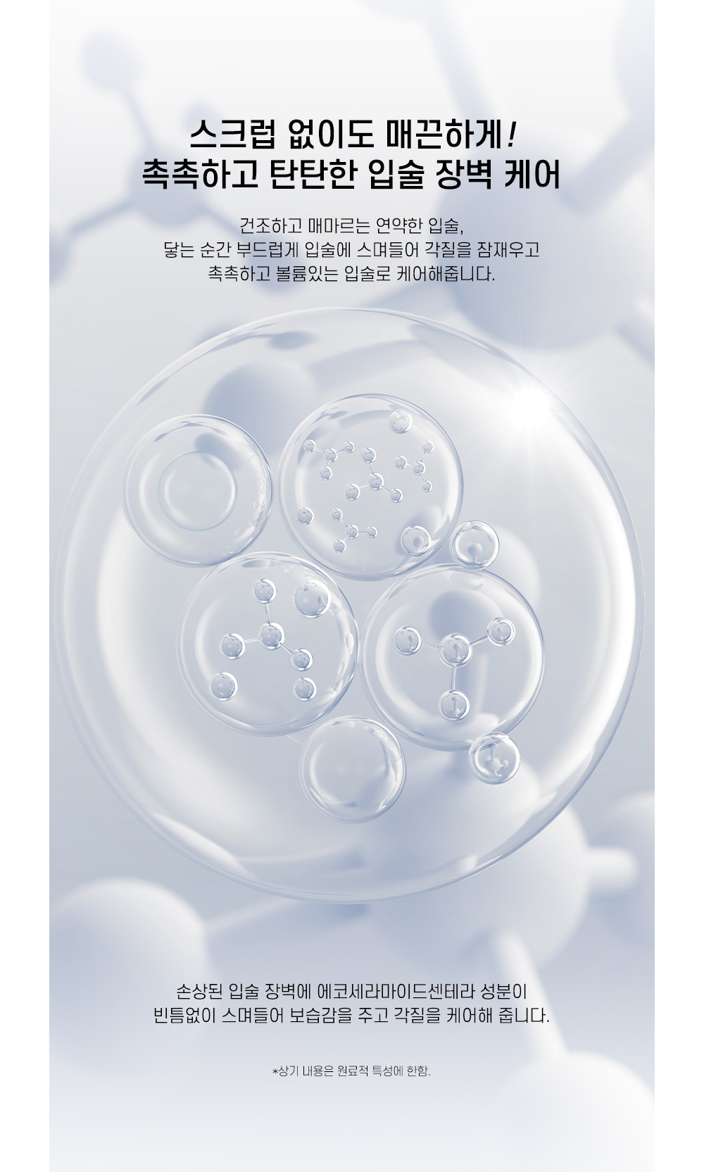 [로지드] 립 전 제품 무조건 1+1 골라담기